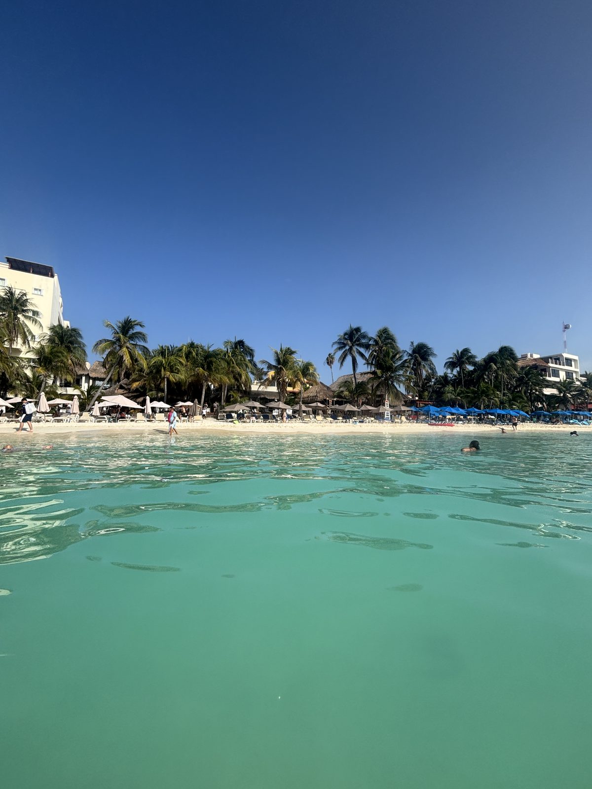 Turquoise Caribbean water and a palm-lined beach at a resort on Isla Mujeres
